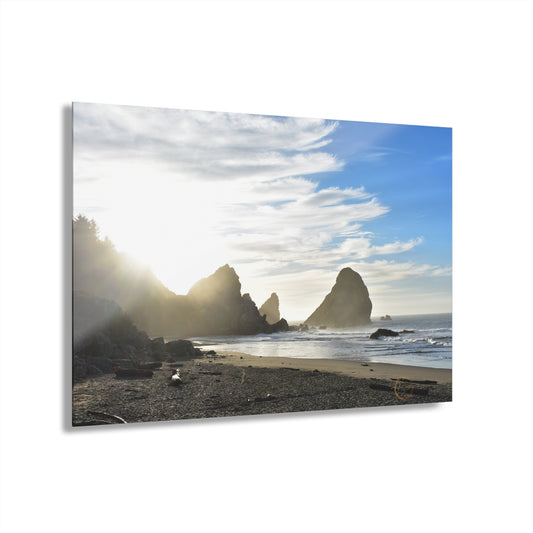 Sunrise Beach-Acrylic Prints (French Cleat Hanging)